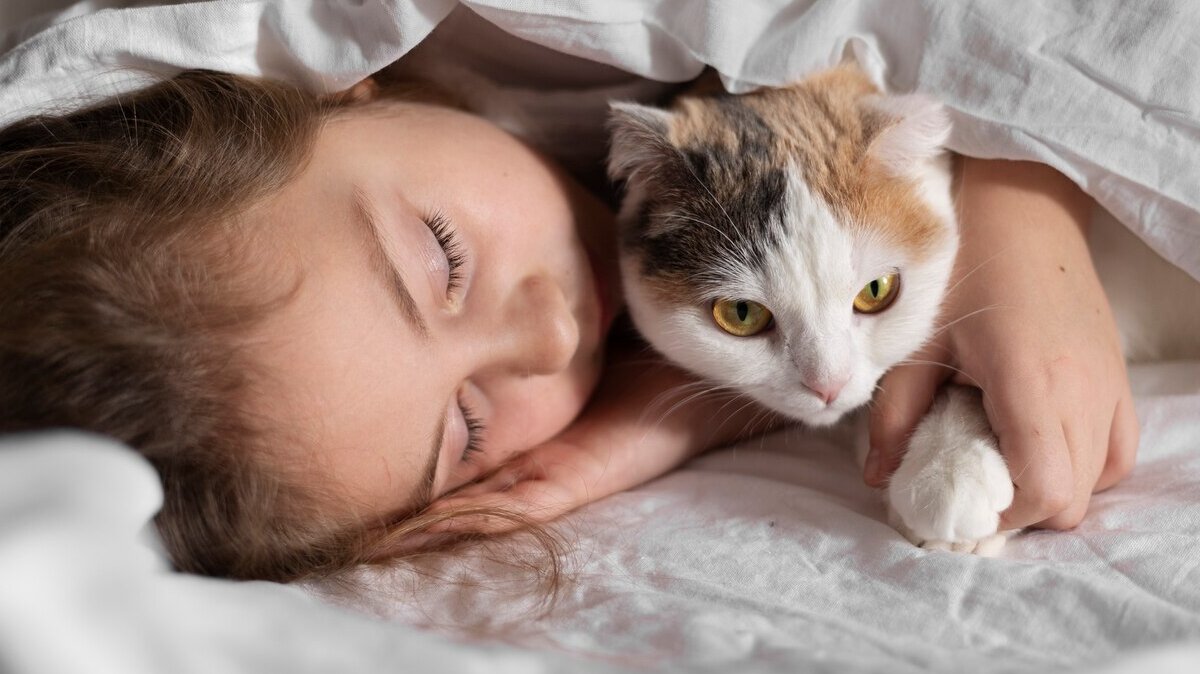 close-up-beautiful-cat-with-little-girl_23-2149214367