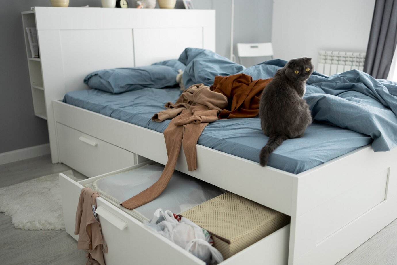 cute-cat-clothes-bed-high-angle_23-2149363780