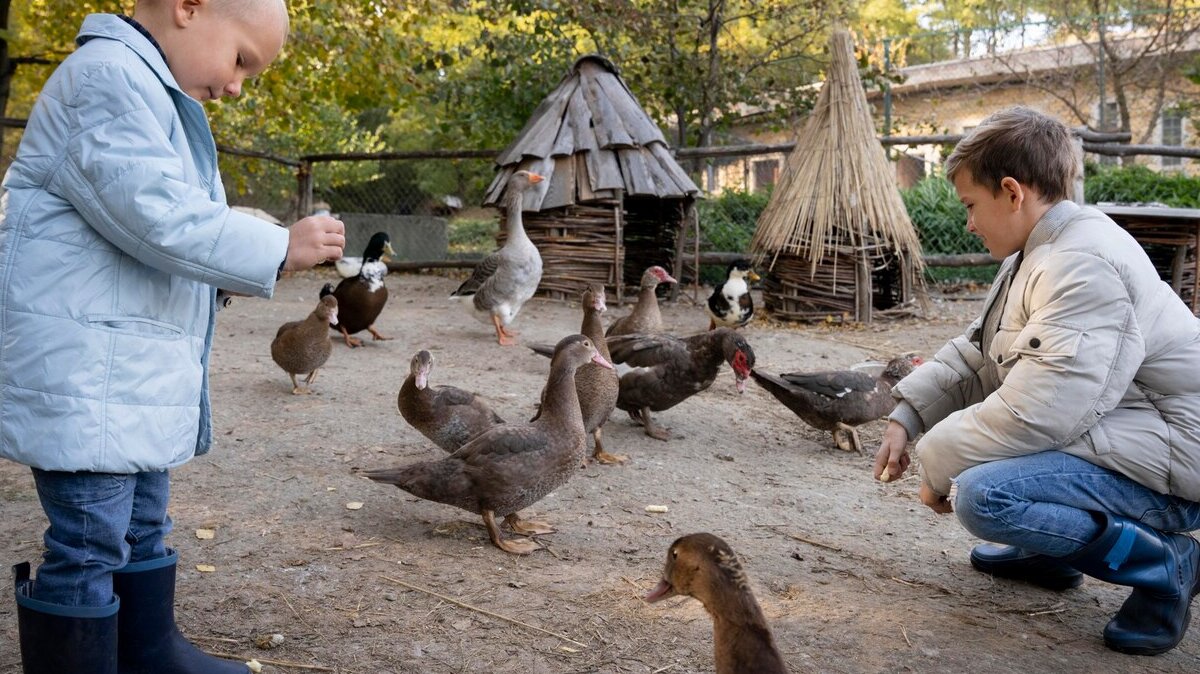 full-shot-kids-feeding-birds_23-2149147874