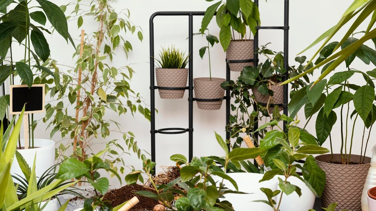 garden-home-concept_23-2148826068 garden-home-concept_23-2148826068