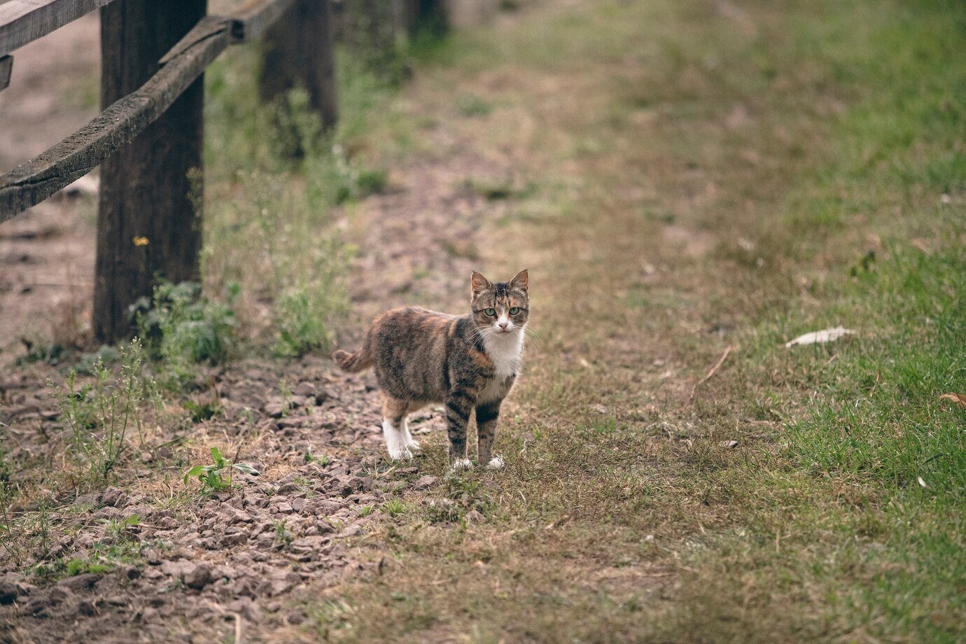 retro-nature-picture-fauna_23-2149728473