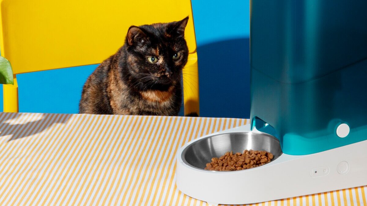 smart-feeder-pets-still-life_23-2151310879