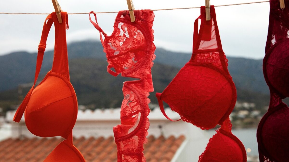 still-life-different-types-bras-outdoors_23-2150411200