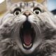 view-funny-cat-vet_23-2151180953 (1)