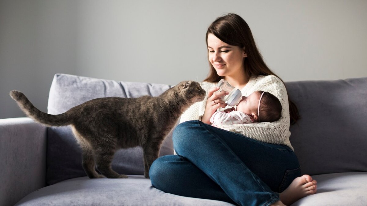 woman-feeding-child-couch_23-2147778617