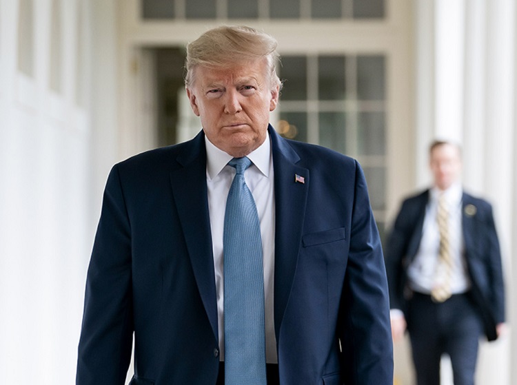Трамп Трамп