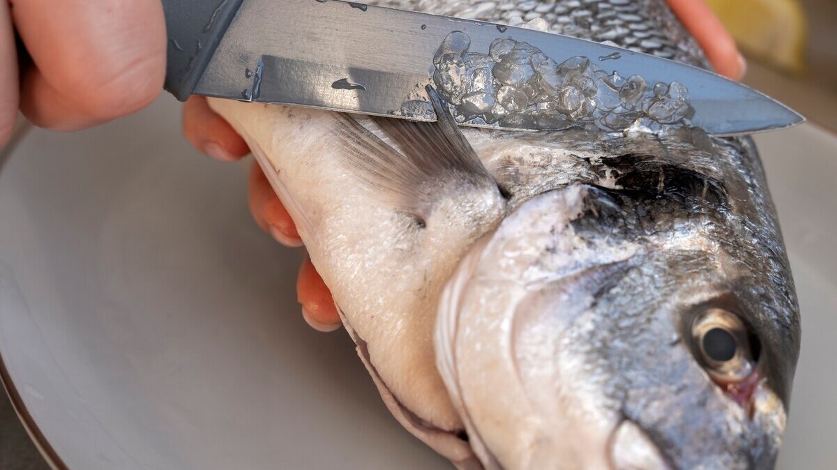 high-angle-cook-cleaning-fish-kitchen_23-2150238960 high-angle-cook-cleaning-fish-kitchen_23-2150238960