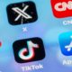 Маск защищает TikTok