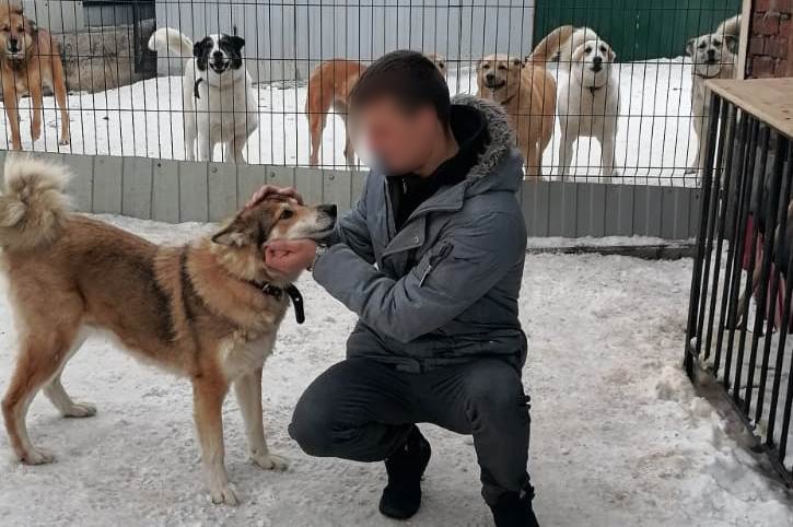 Осужденные спасают бездомных собак в Череповце Осужденные спасают бездомных собак в Череповце
