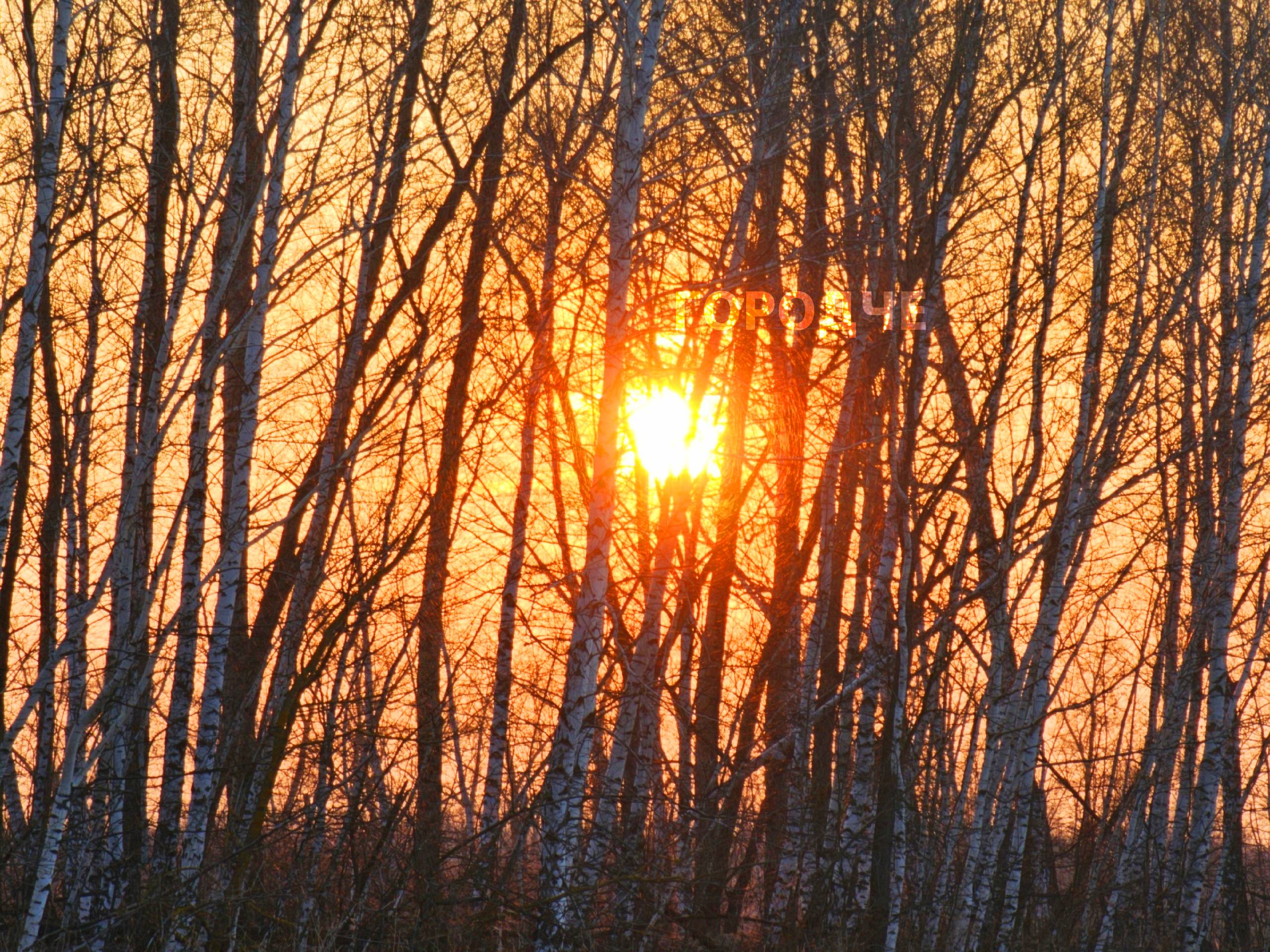 Весеннее тепло Весеннее тепло