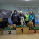 Четвероногие чемпионы покорили Углич