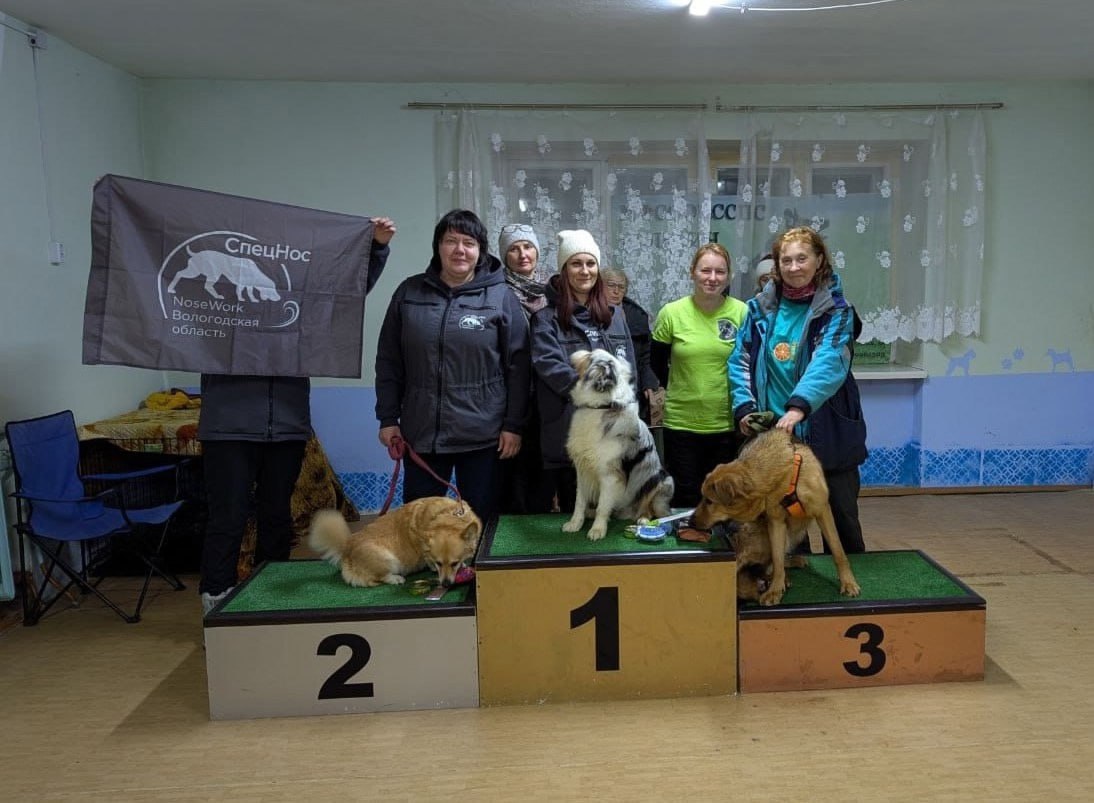 Четвероногие чемпионы покорили Углич Четвероногие чемпионы покорили Углич