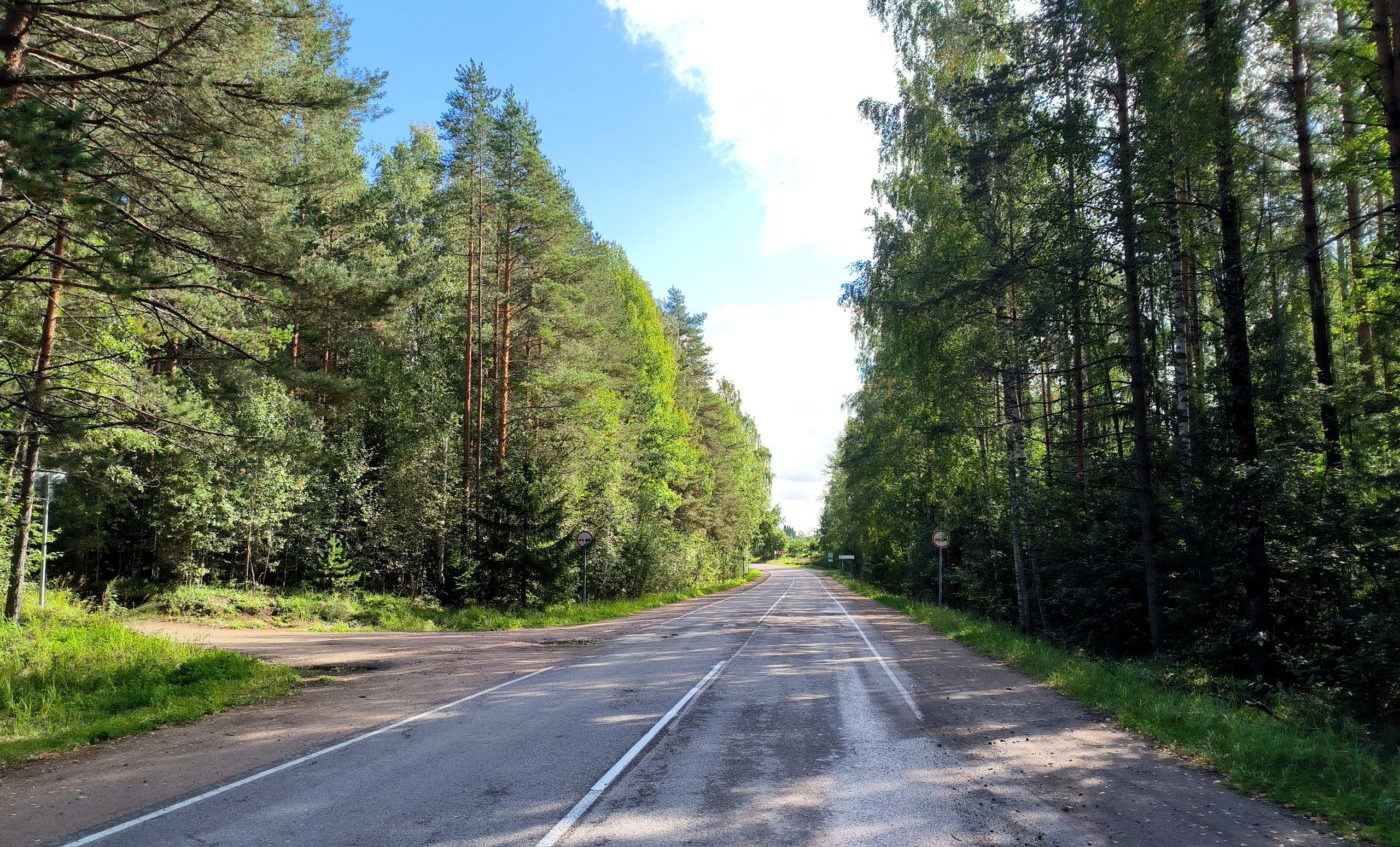 автотрасса дорога, лес