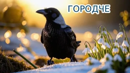 Ворона