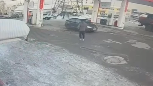 Чудо бежит к машине