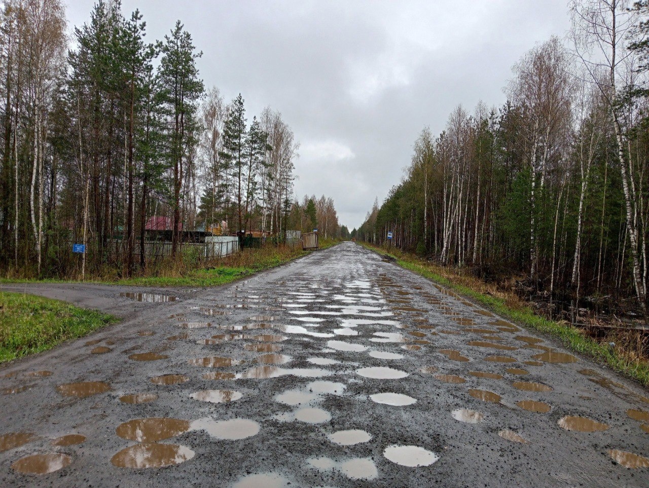 «Дачная