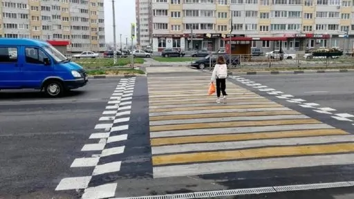 Лежачая зебра