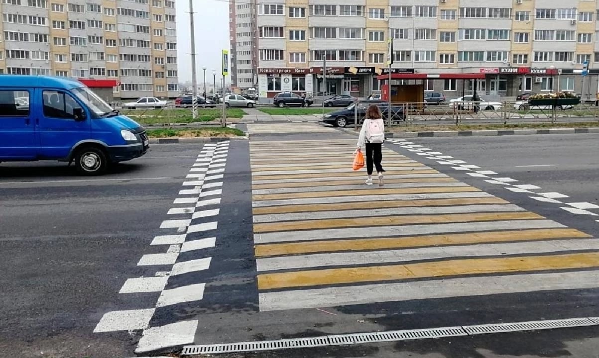 Лежачая зебра Лежачая зебра