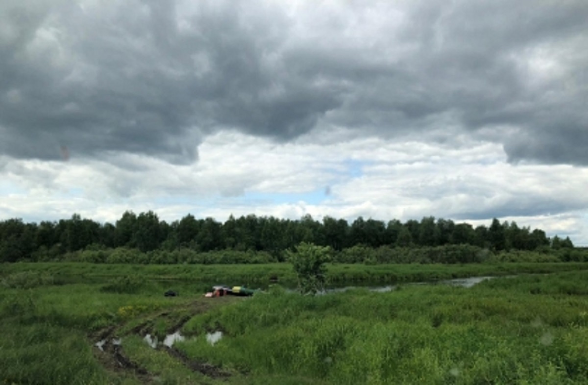 Место трагедии под Бабаево Место трагедии под Бабаево