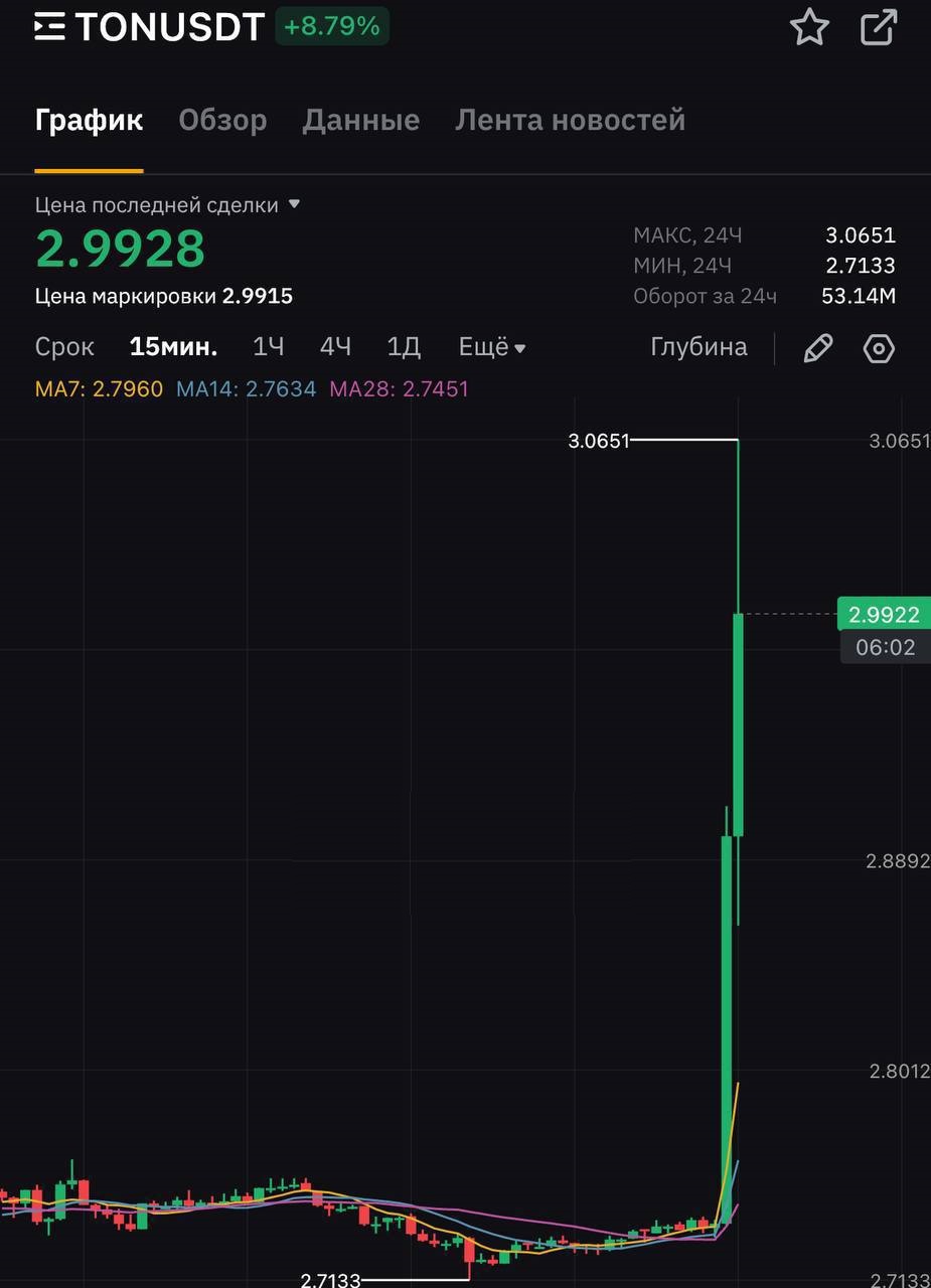 Золотую визу ОАЭ можно получить за покупку криптовалюты Toncoin