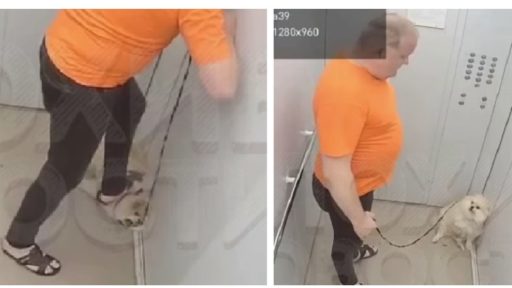 Живодер топтался на шпице в лифте