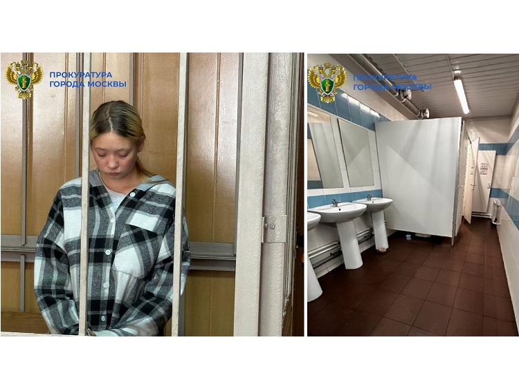 Россиянка родила дочь в туалете и у нем же ее утопила Россиянка родила дочь в туалете и у нем же ее утопила