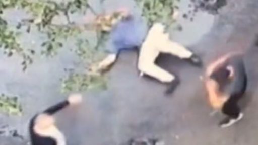 Мортал комбат в Ясной Поляне