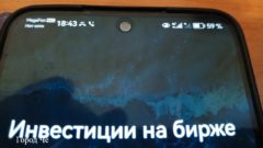 Мошенники часто обещают высокий доход. А жертвы обмана верят им на слово.