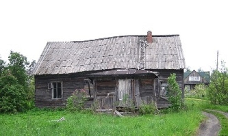 Большая Дора