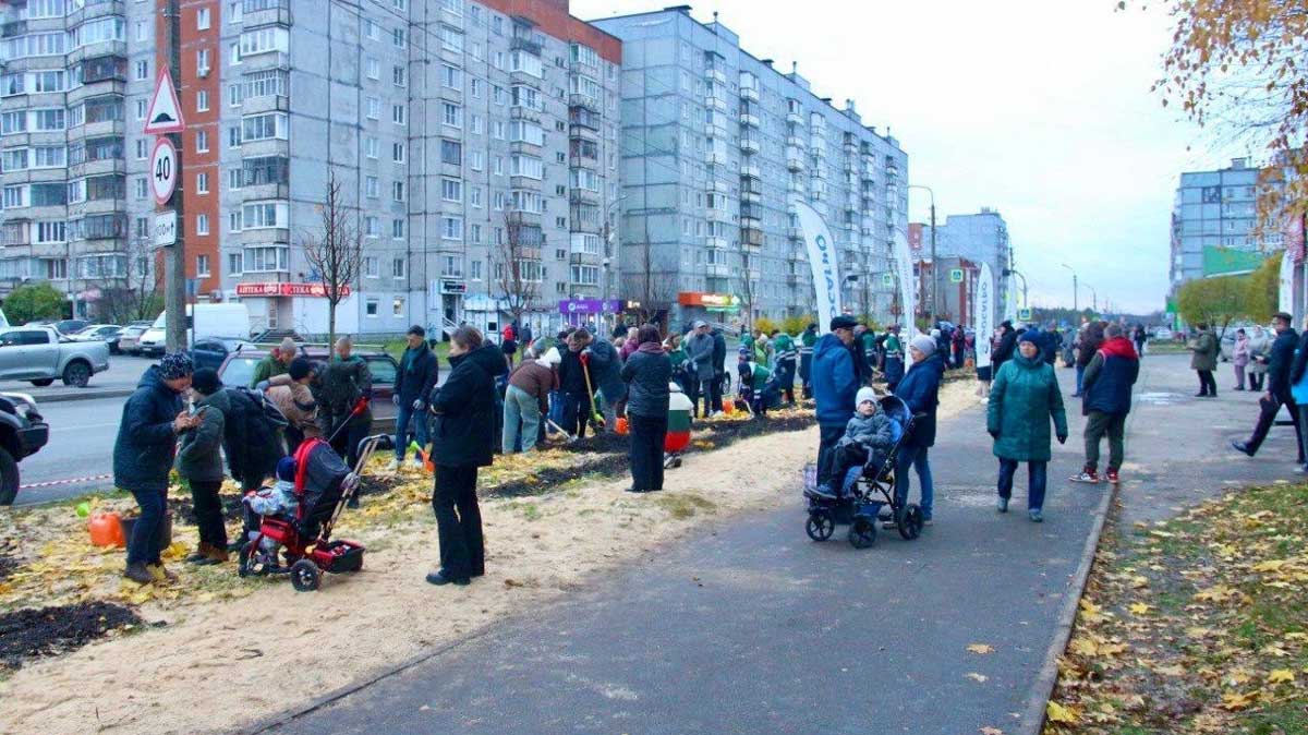 деревья На улице Наседкина появились новые зелёные насаждения