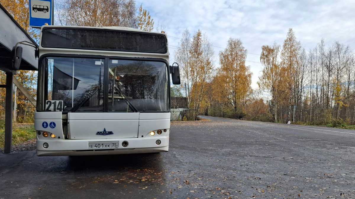 Ремонт дачной дороги в Череповце продолжат весной: завершить не удалось из-за погоды