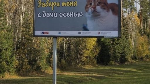 забывают сделать многие дачники