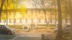 В Москве впервые оштрафовали хозяйку собаки за то, что питомец помочился на газон