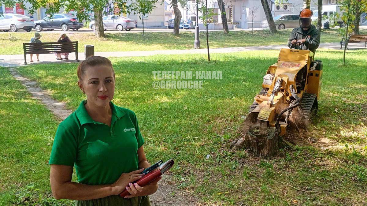 уборка-пней Череповец завершает сезон уборки пней с рекордными результатами