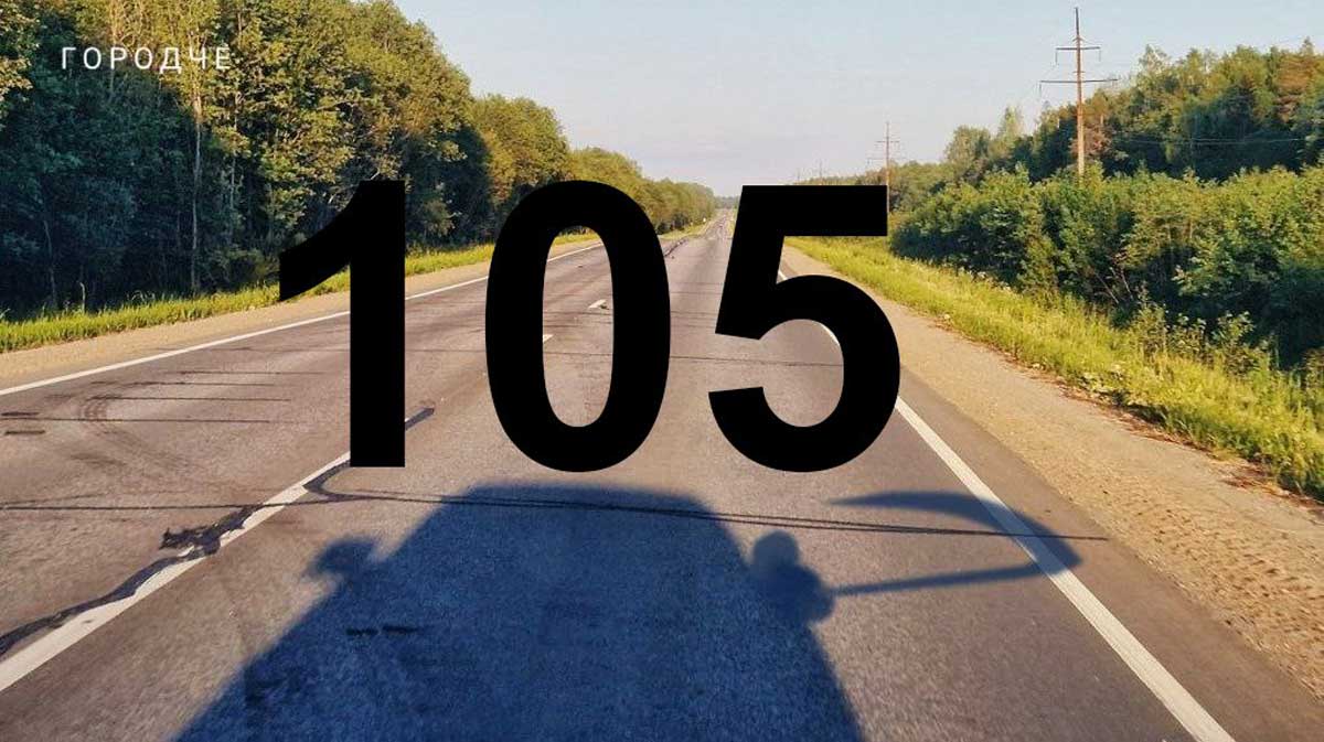 В Вологодской области с начала года в ДТП погибли 105 человек