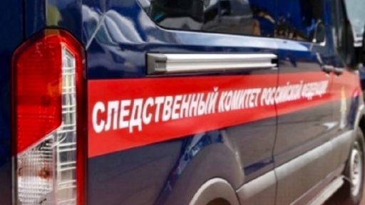 в Грязовце пойман насильник