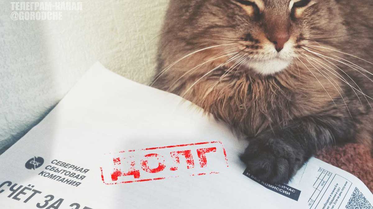 Жителям Вологодской области напомнили о риске отключения электричества из-за долгов