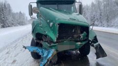 Под Шексной произошла смертельная авария: три человека погибло