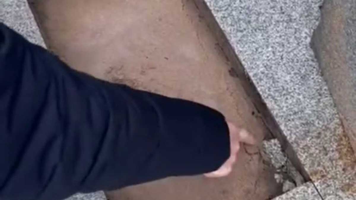 Специалисты установили причину вздутия тротуарной плитки на площади Дрыгина в Вологде