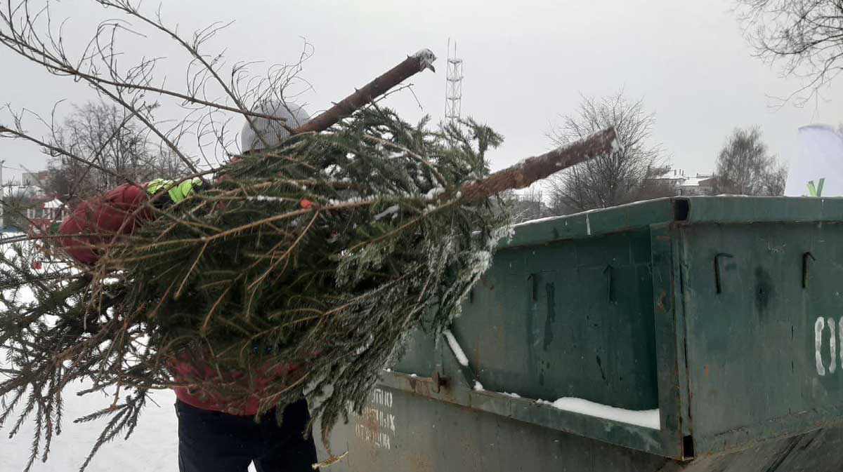 Где и как сдать новогоднюю ёлку
