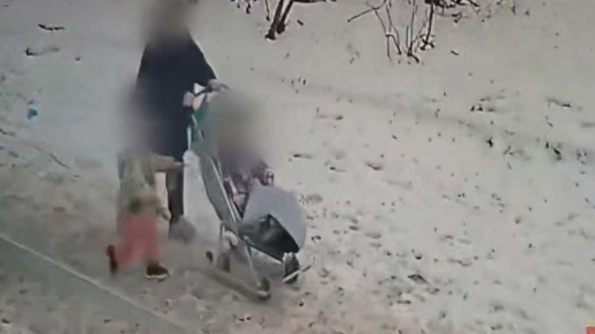 В Череповце мать с детьми похитила коляску на санках