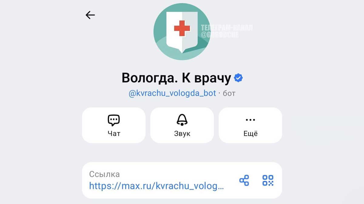 В Вологодской области заработала запись к врачу через MAX