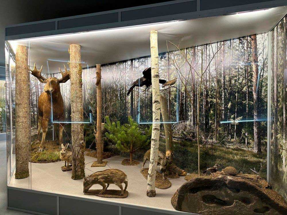 Экспозиция «Город и река»