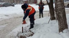 В Череповце коммунальщики назвали главные причины засоров канализации