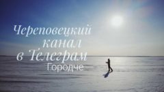 В СМИ сообщили о возможном замедлении Telegram, официального подтверждения нет