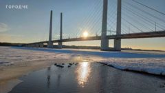 В Череповце пересчитали зимующих уток: в городе осталось более шести сотен птиц