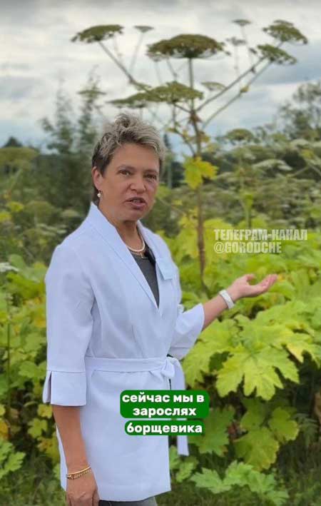 «борщевик»