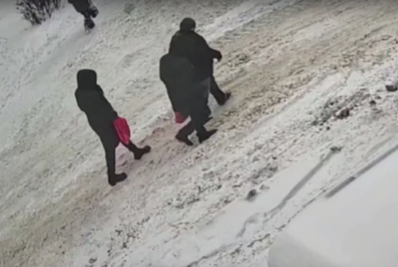 Компания подходит к дому