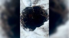 Подростка спасли после падения в открытый люк в Соколе