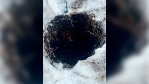 Подростка спасли после падения в открытый люк в Соколе